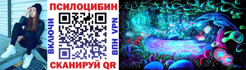 Псилоцибиновые грибы ЛСД  Купить  Светлогорск 
