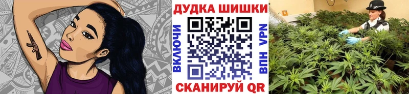 Купить  Светлогорск  Каннабис индика 
